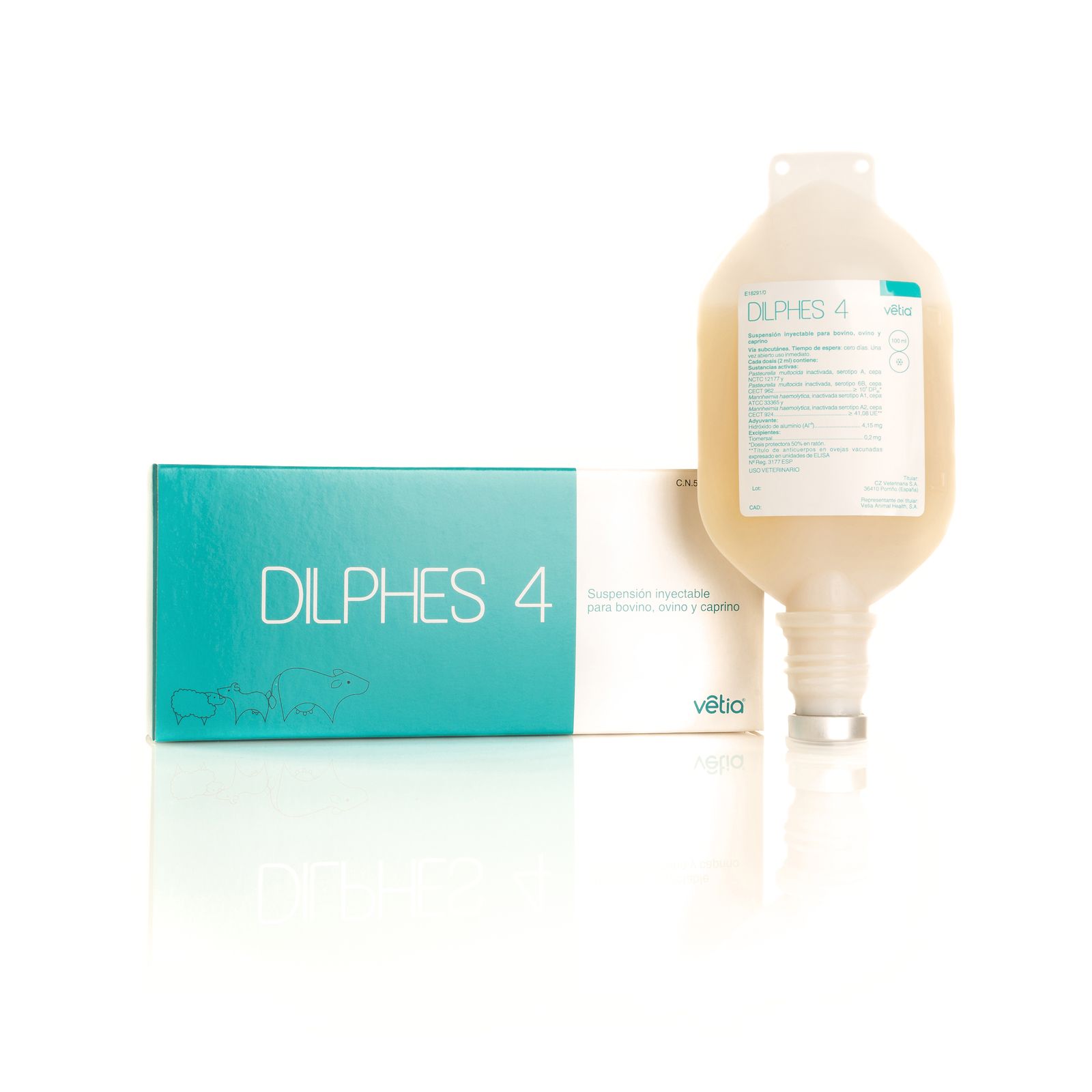 invet.ge - Dilphes 4